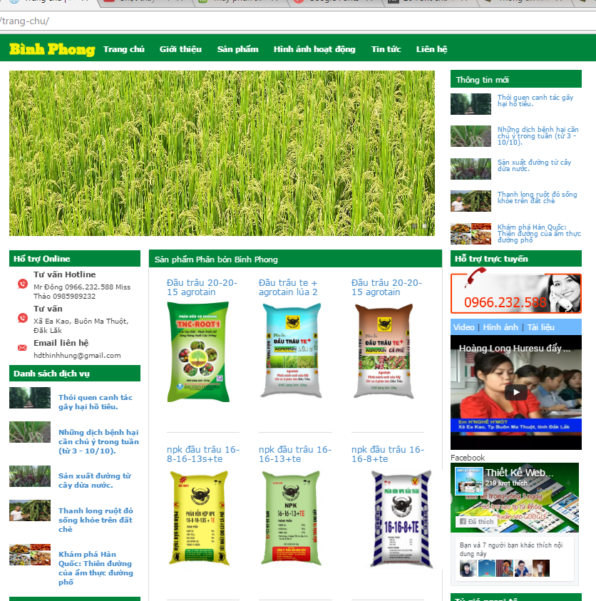 Thiết kế web Công ty Phân bón Bình Phong