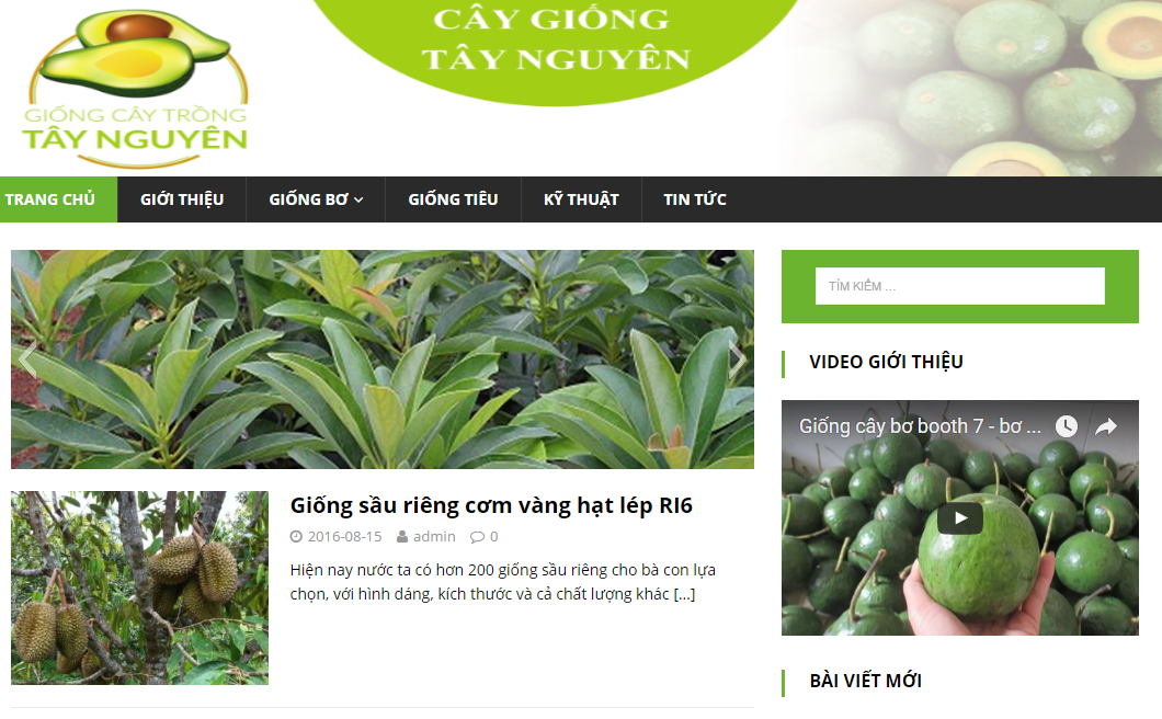 website bơ thành bích