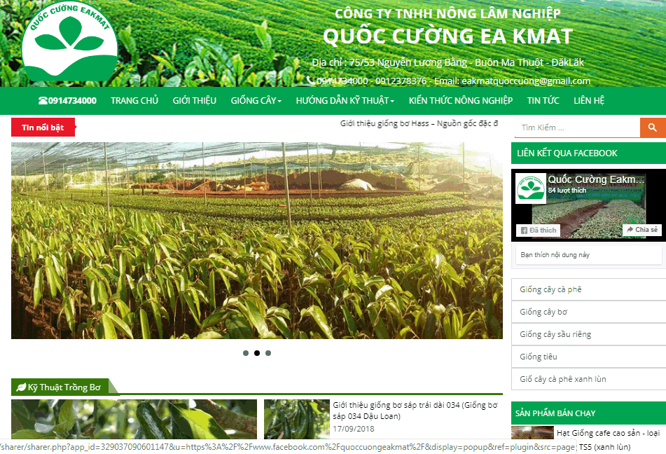 Thiết kế website cây giống Quốc Cường Eakmat