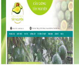Website giống cây trồng Tây Nguyên